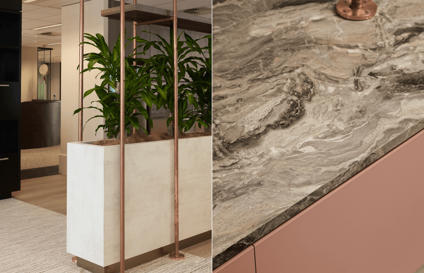 Dexus | Interior design by Bearspace | Photography by Cieran Murphy