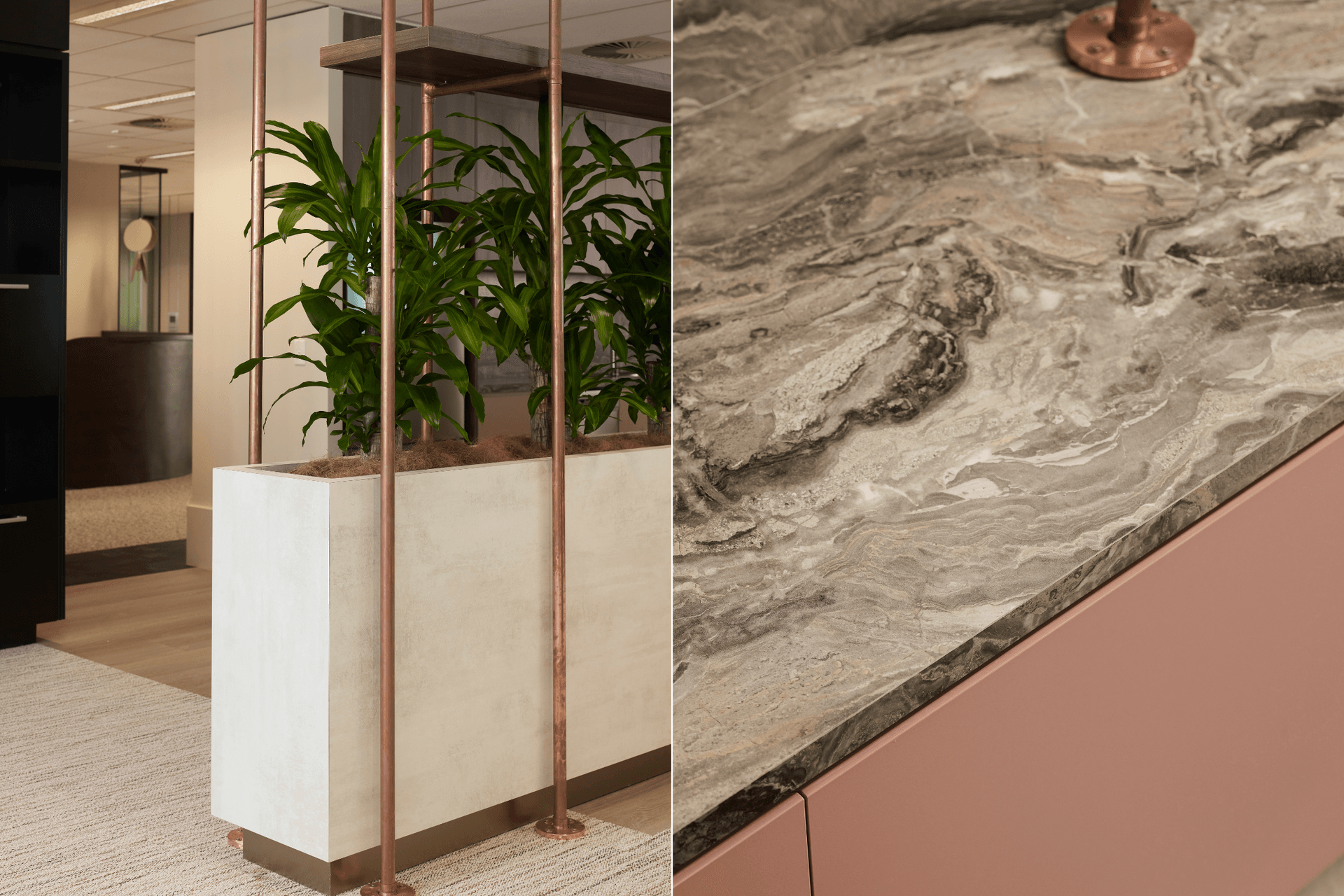 Dexus | Interior design by Bearspace | Photography by Cieran Murphy