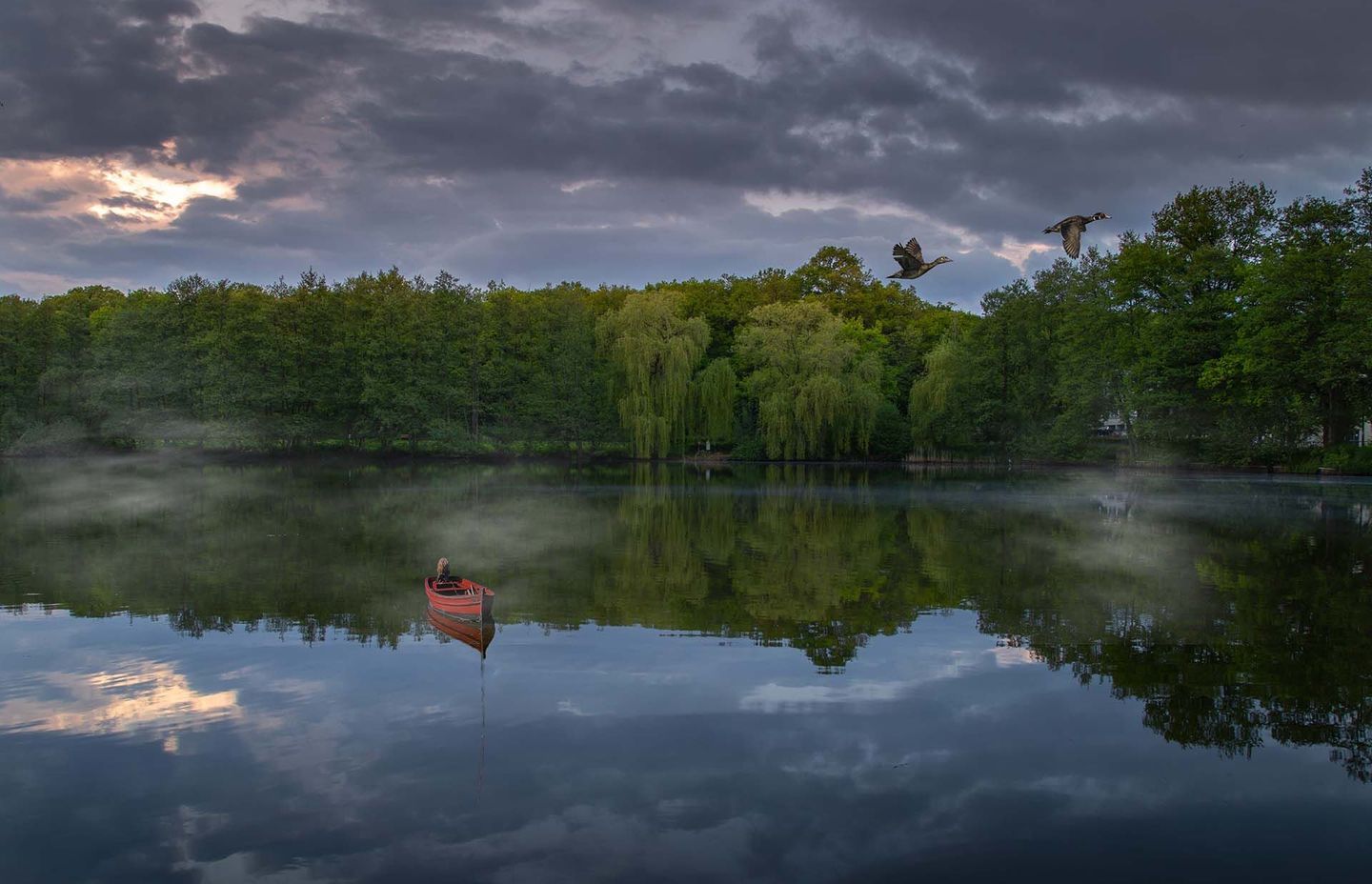  2021 PEFC Photo Contest – Magical forests impress PEFC Spain’s jury
