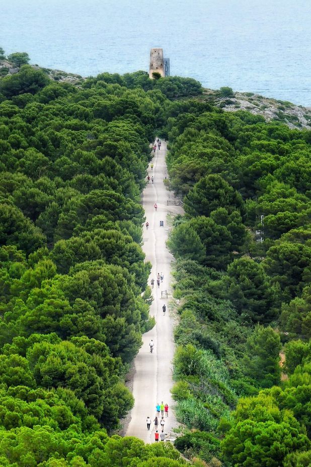  2021 PEFC Photo Contest – Magical forests impress PEFC Spain’s jury