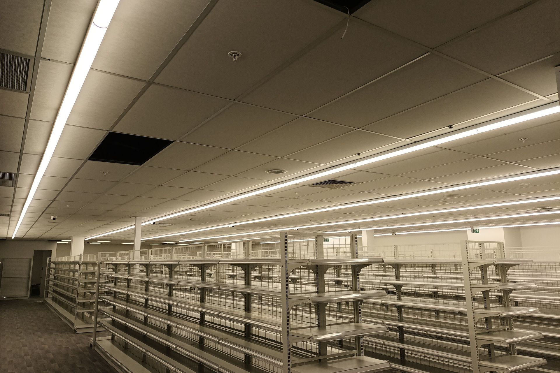 Dan's work on one of the Bargain Chemist jobs.