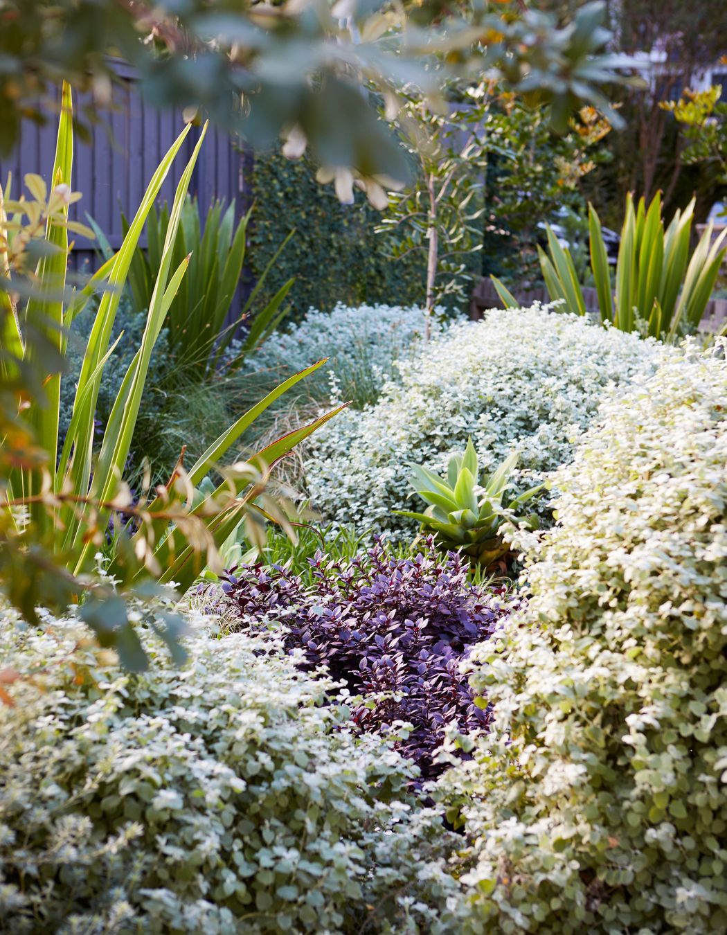 Discover our 2022 multi award-winning Clareville project