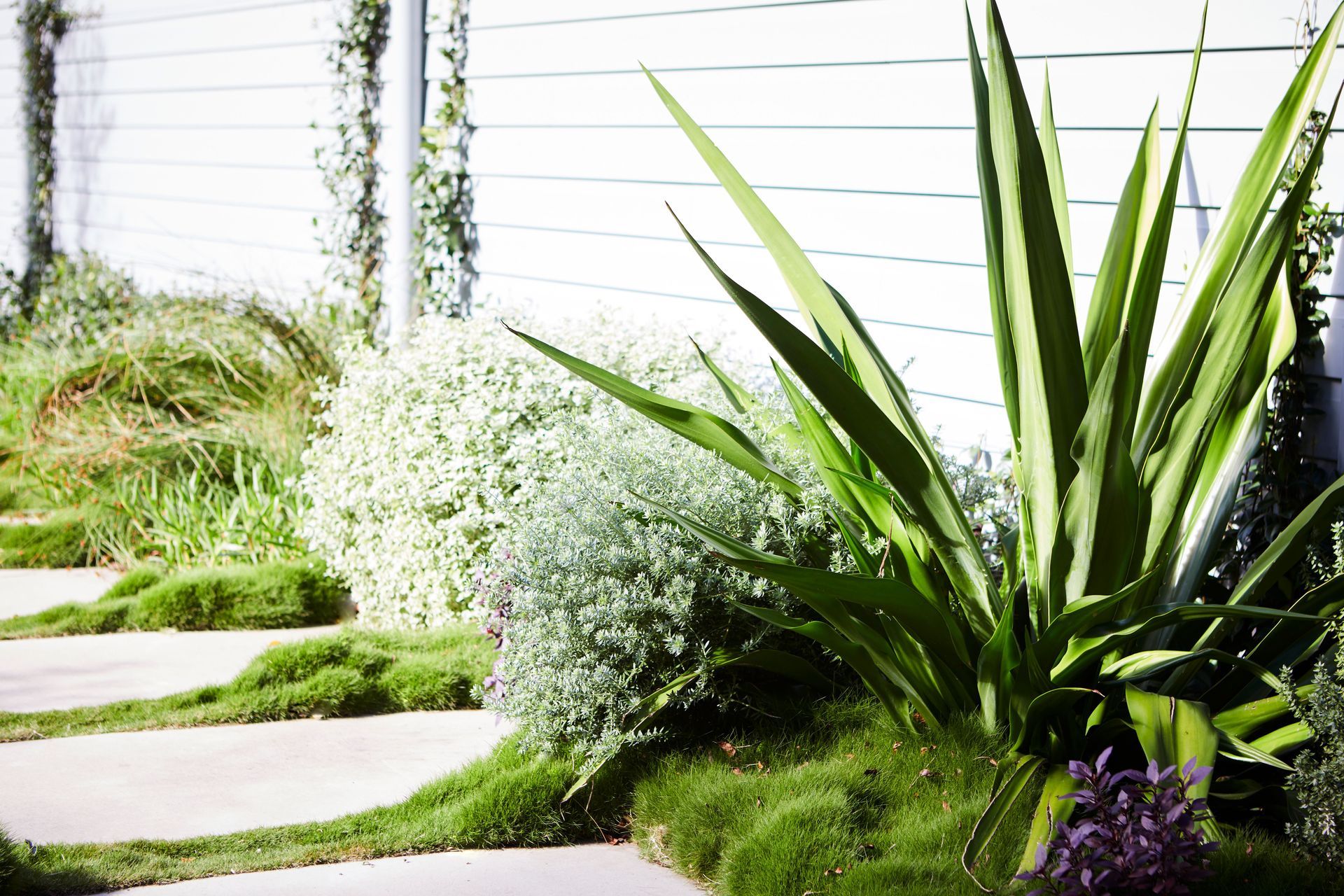 Discover our 2022 multi award-winning Clareville project