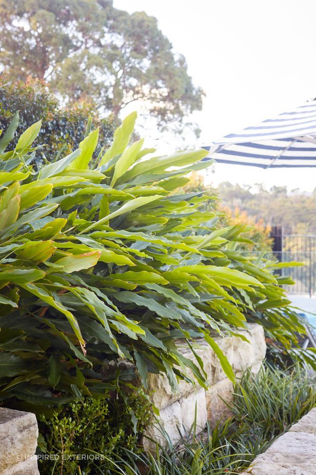 210517InspiredExteriorsMosman0942.jpg