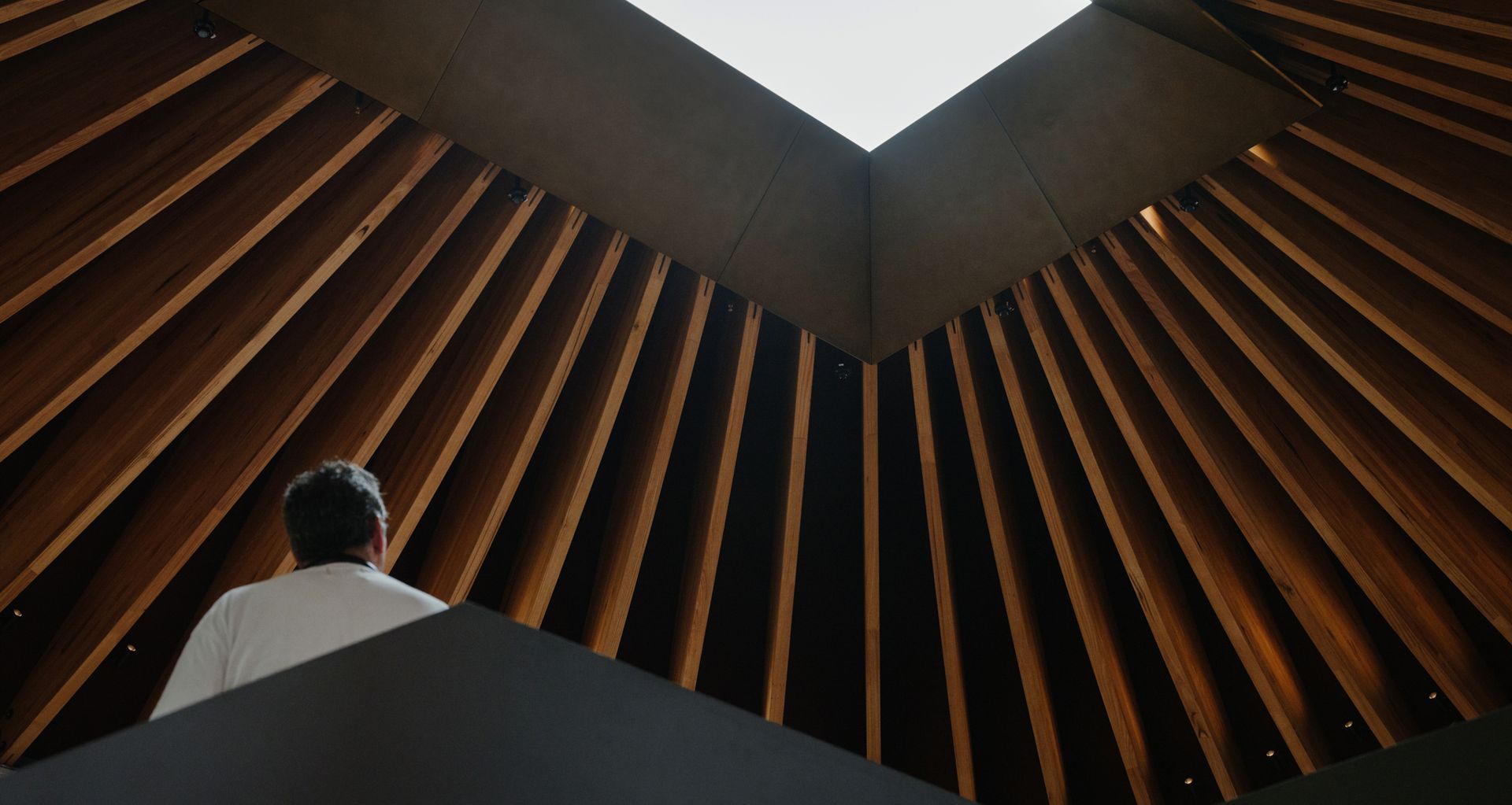 Boot Factory, featuring MASSLAM, wins 2025 Timber Design Award (TDA). Image Hamish McIntosh