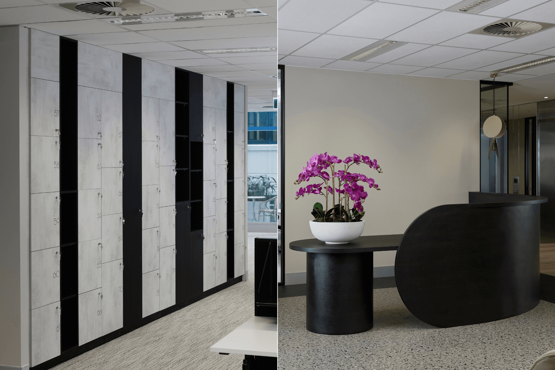 Dexus | Interior design by Bearspace | Photography by Cieran Murphy