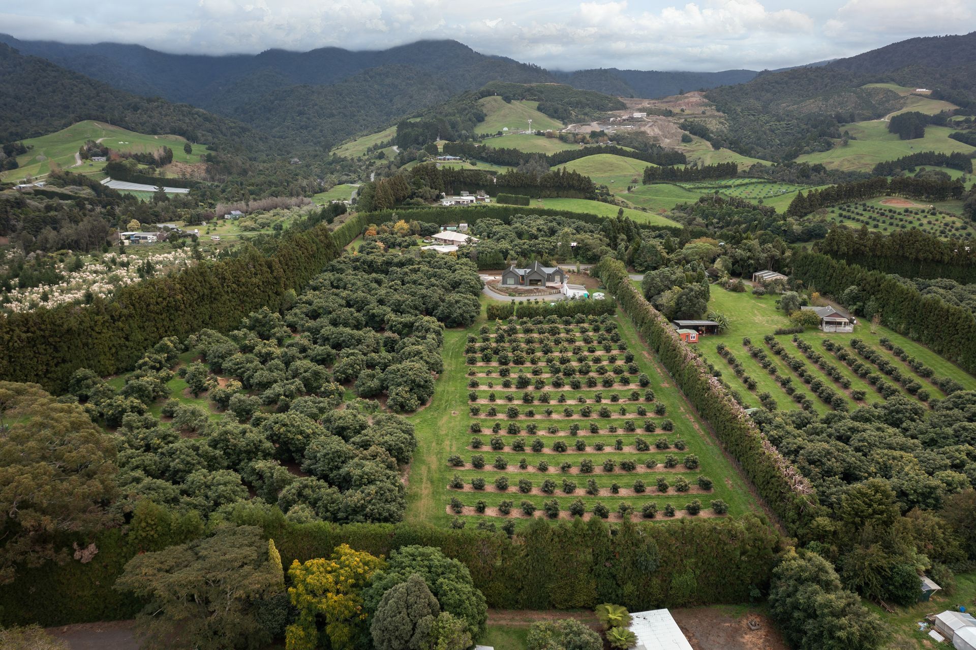 The property viewed from above.