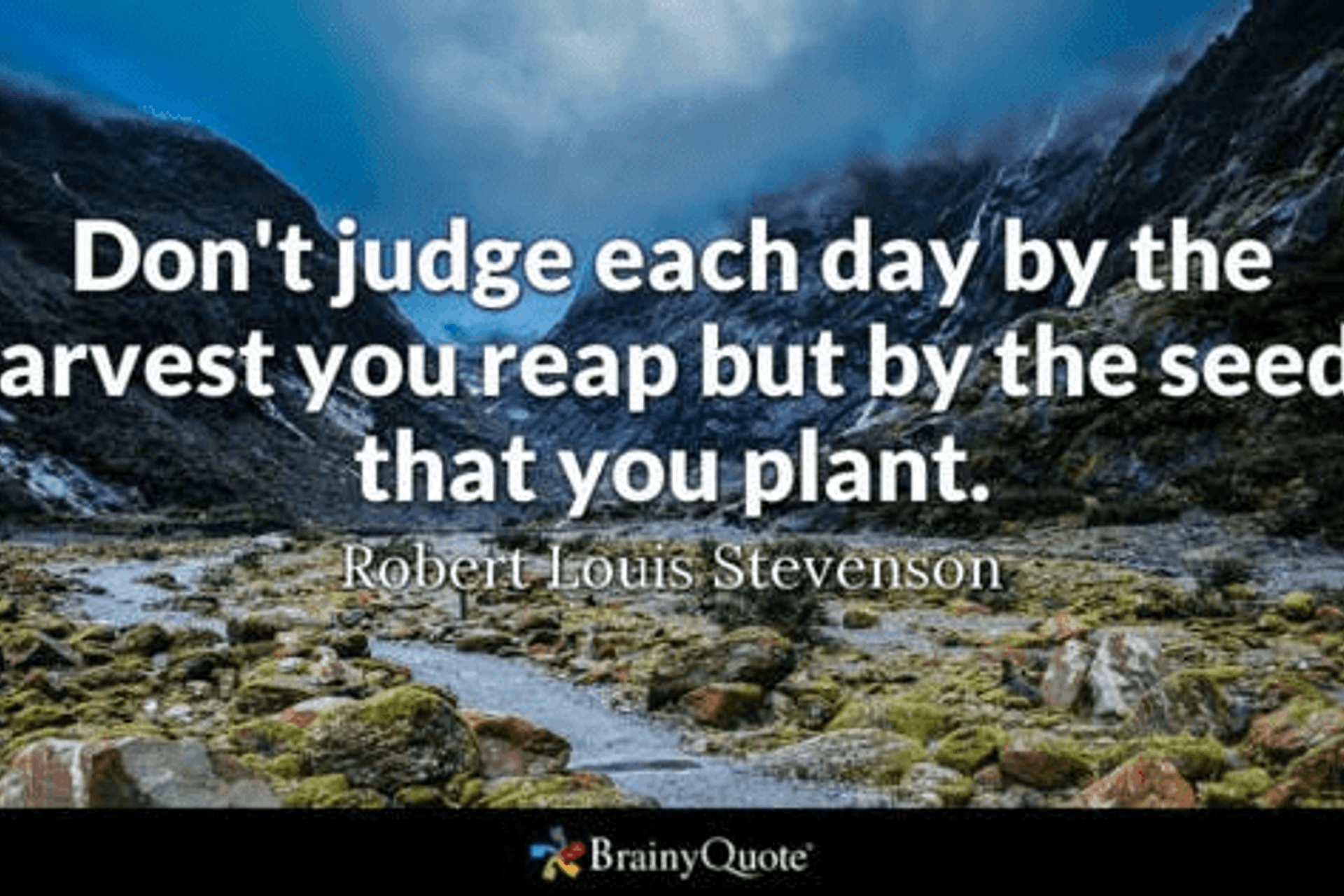 The Alliances that help Whyte Gardens create sophisticated gardens