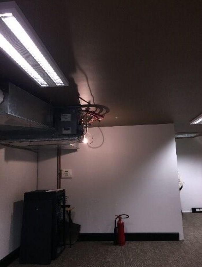 Brain Partners – Case Study