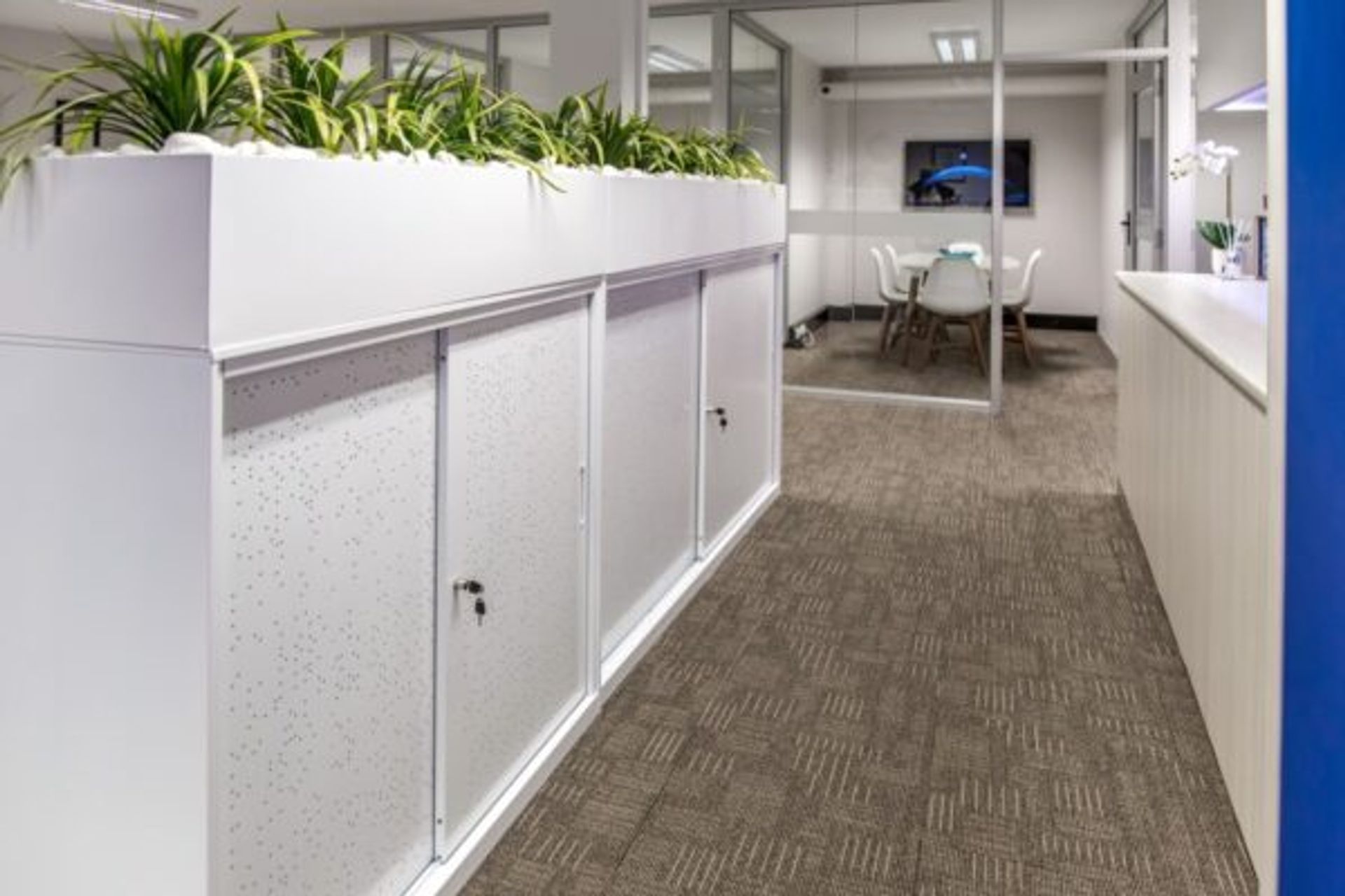 Brain Partners – Case Study