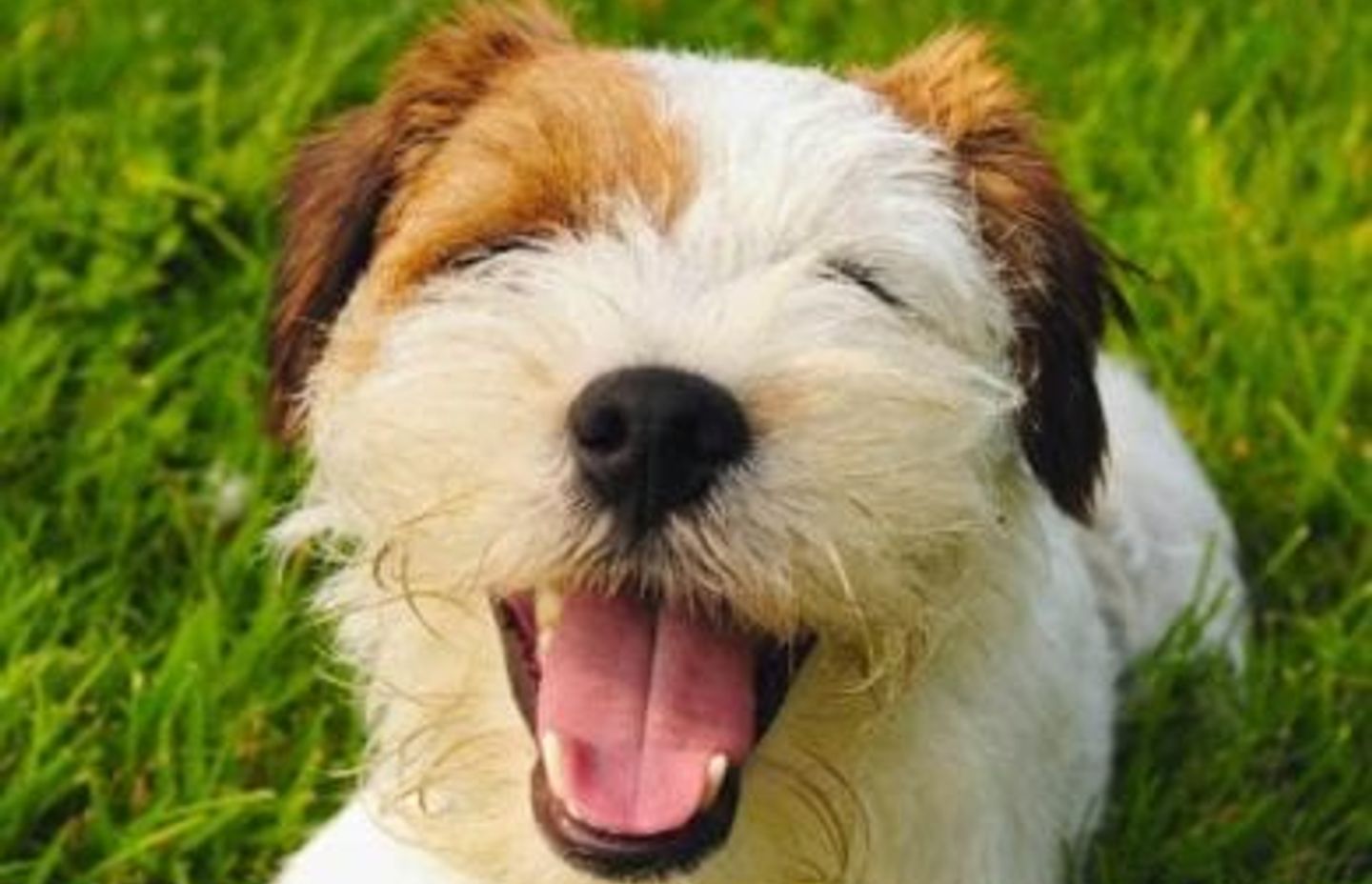 Why adding a Backyard Game Zone is the best choice for your family