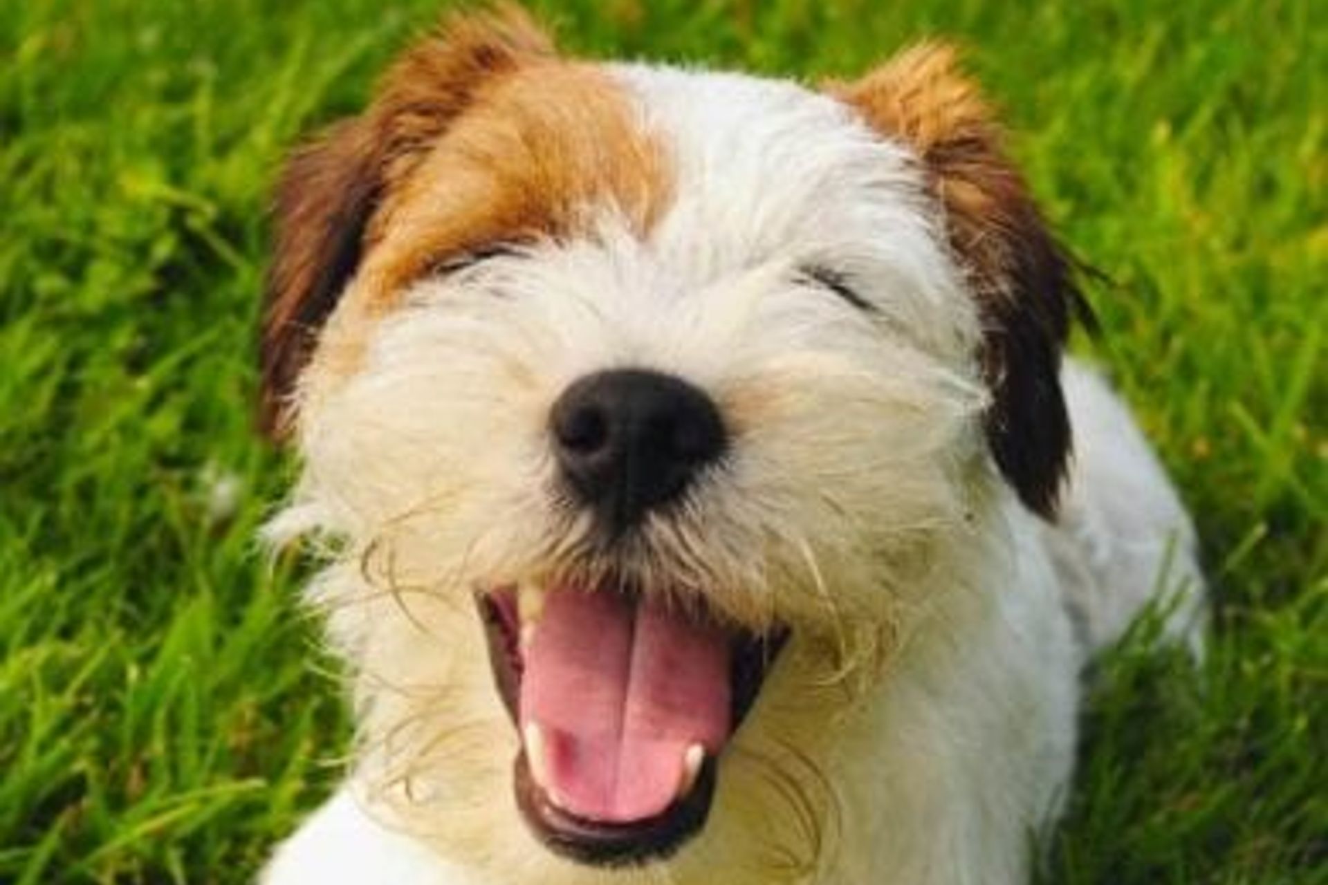 Why adding a Backyard Game Zone is the best choice for your family