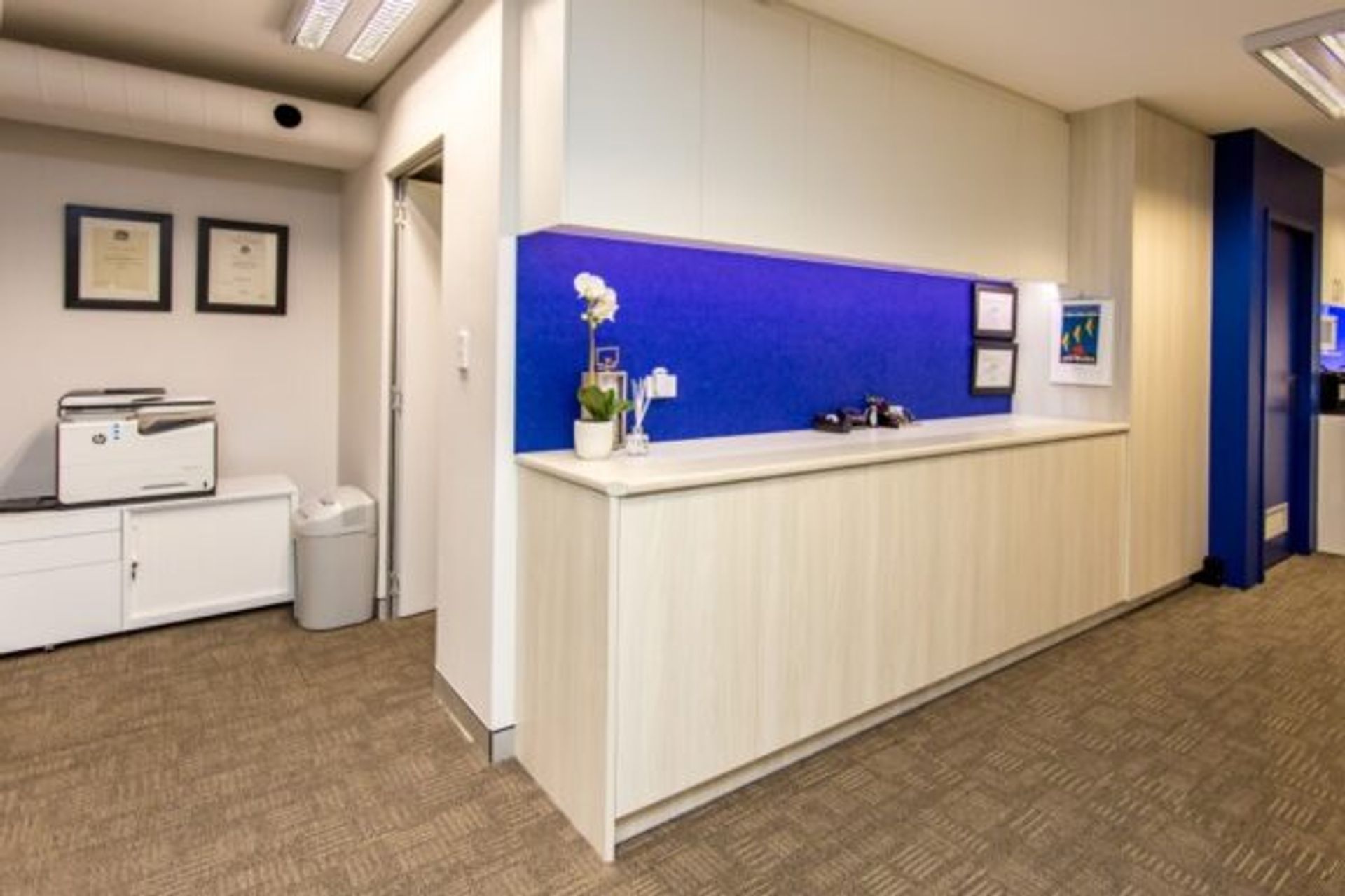 Brain Partners – Case Study