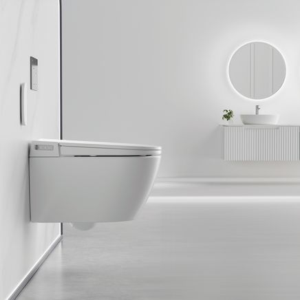 Wall-hung vs floor-mounted toilets: pros and cons