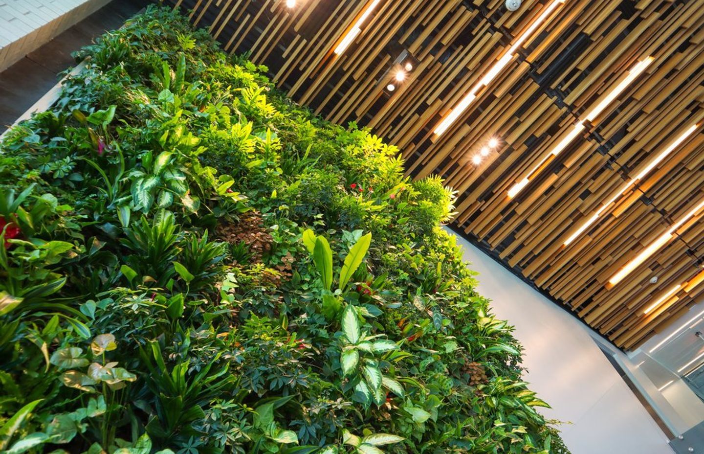 Photo by Elifin Realty on Unsplash