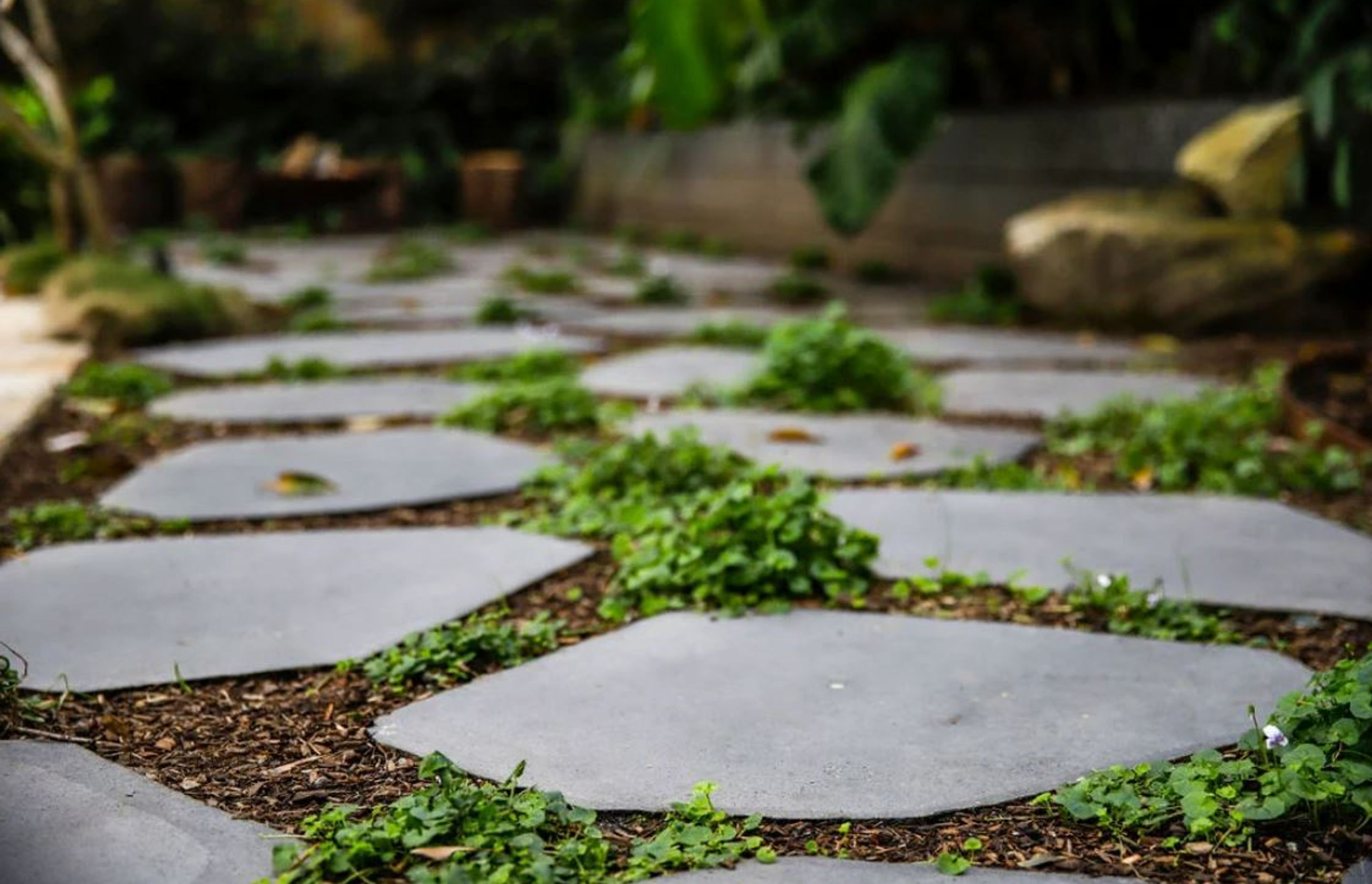 9 ideas for garden pathways