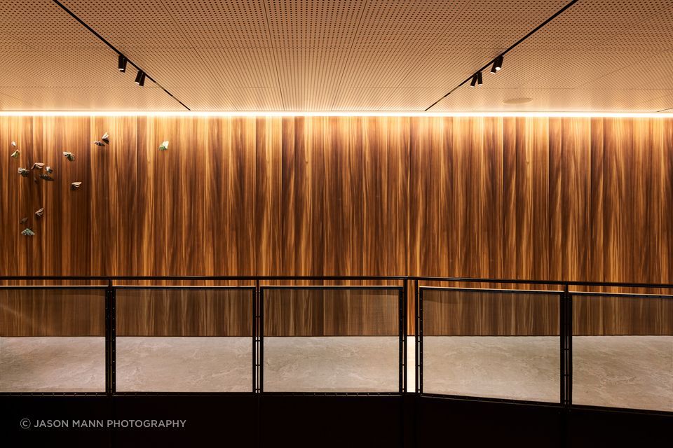Chapman Tripp by Studio Pacific Architecture | Custom Stained European Larch Timber Panelling
