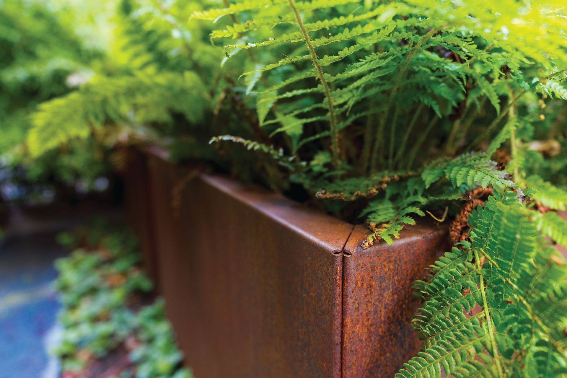 Carrez Connect Planter, Corten Steel | Archipello.