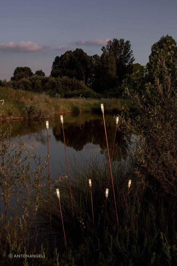 The Giunco outdoor lights evoke the beauty of the New Zealand Raupō