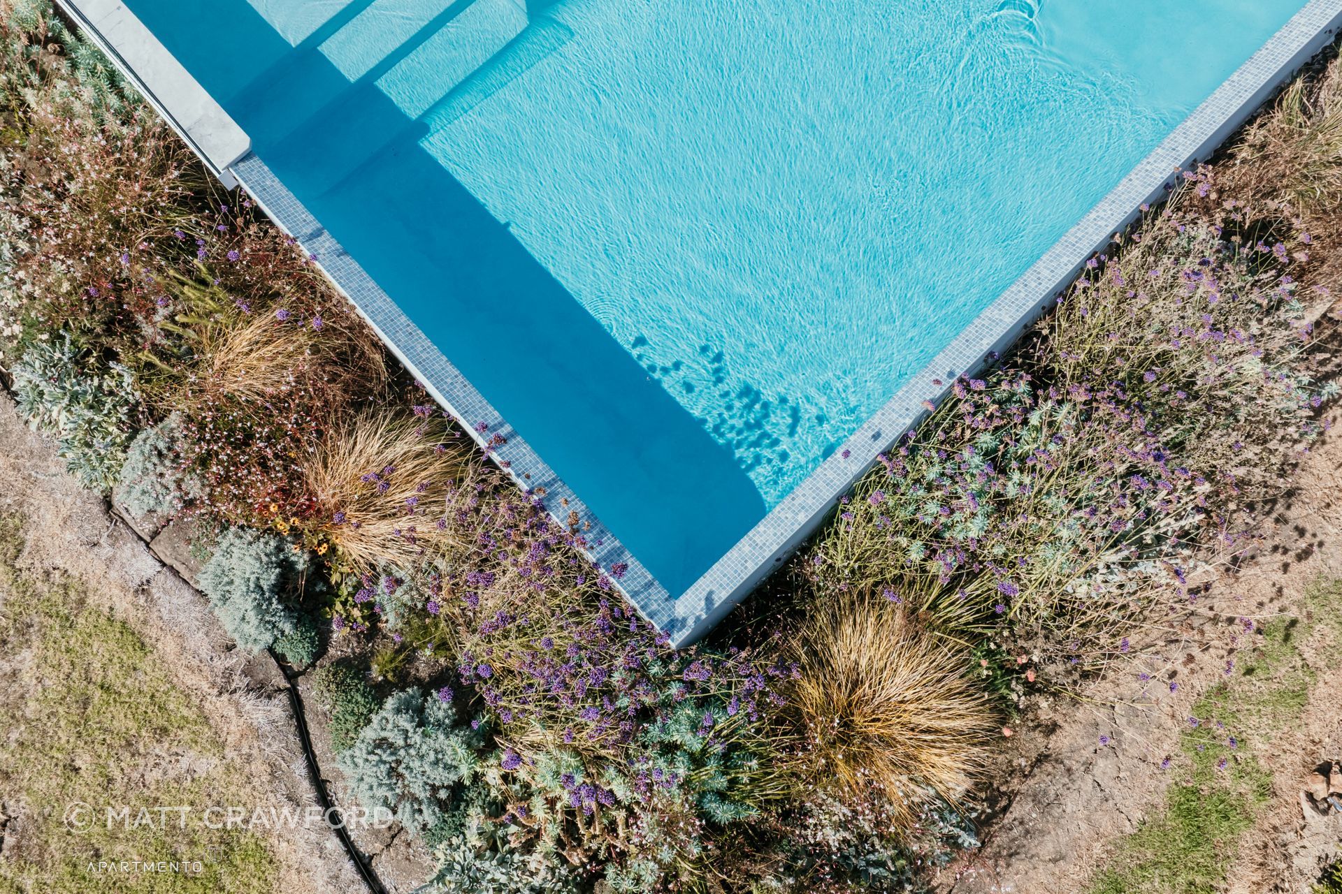 AMArchitectsWaihekeMCrawford-2183-v2.jpg