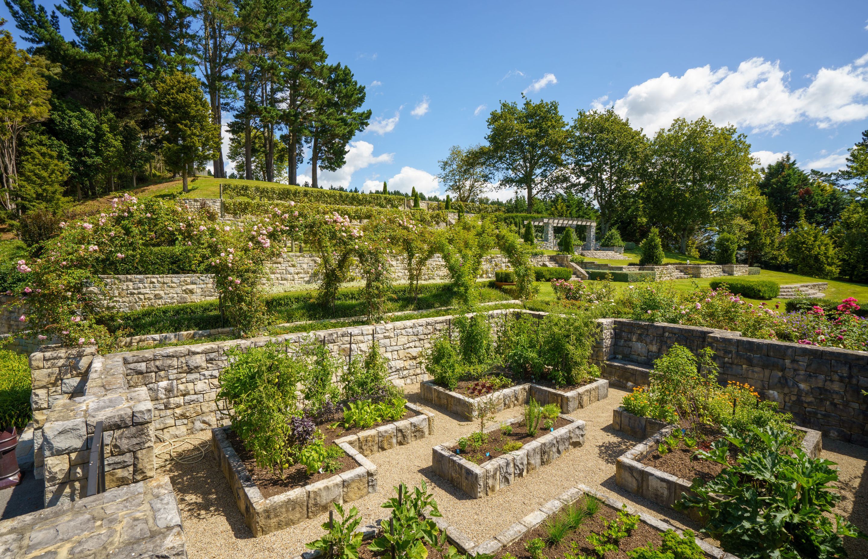 The culmination of six years' work; terraced grape vines, expansive lawn areas and a potager garden, all featuring stunning stone work by the Auckland Stonemasons team.
