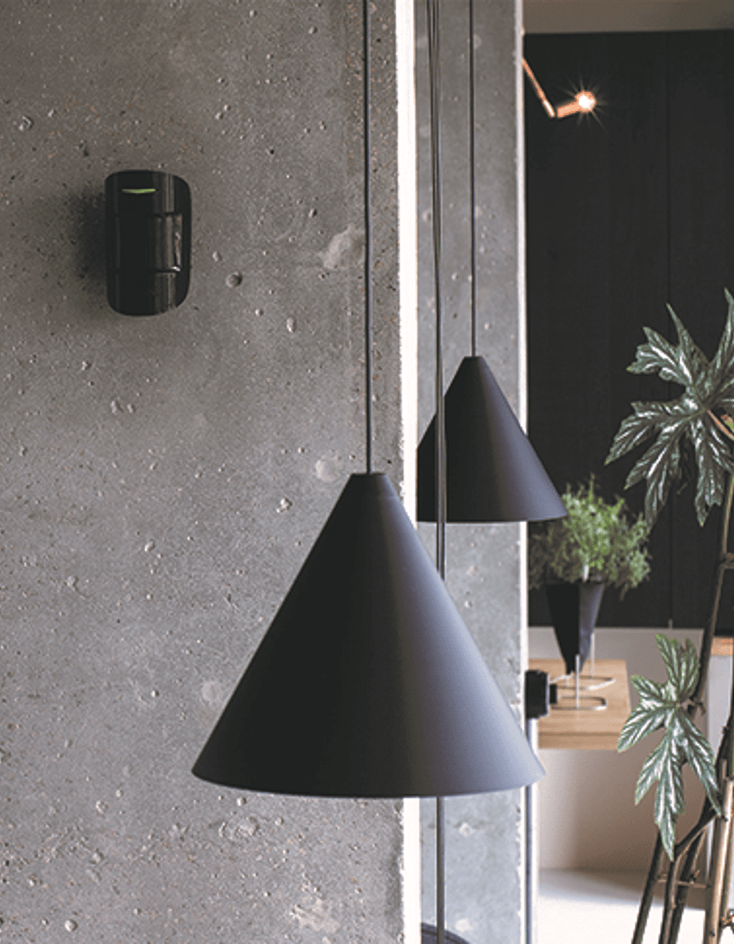 Ajax wireless security system