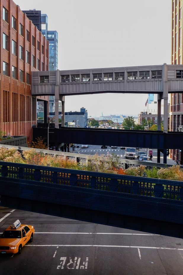 Perennials & Inspiration