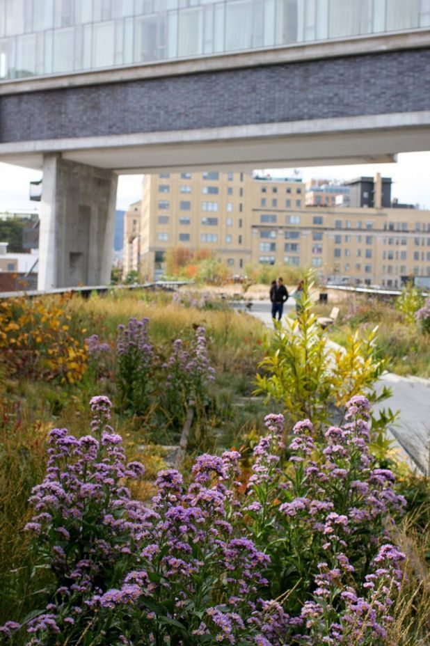 The High Line – Piet Oudolf – Photo Andy Murray