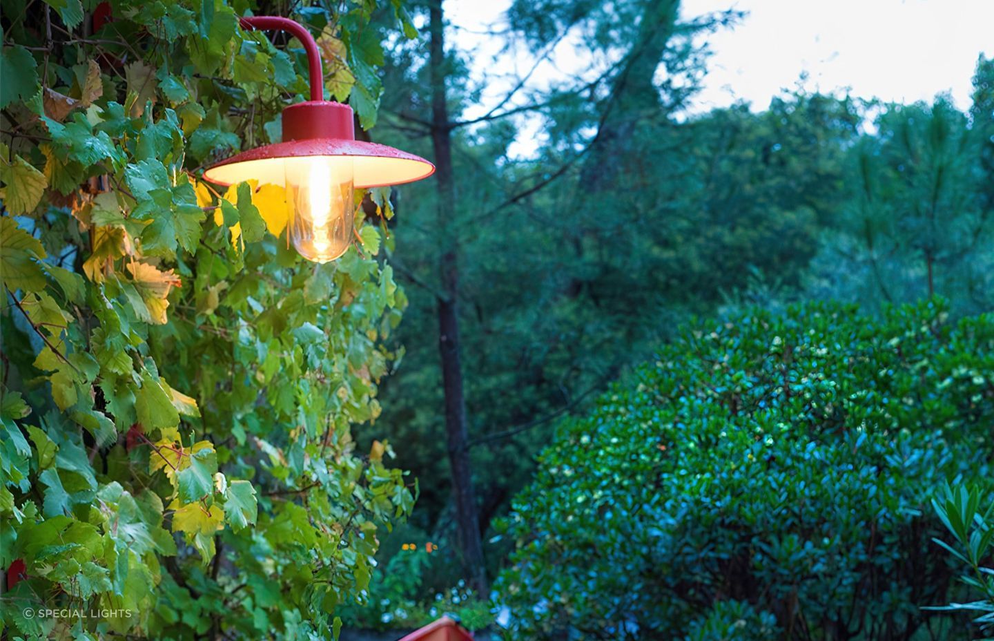 Products like the Belcour Model 9 Wall Light can add a pop of colour and light in any garden
