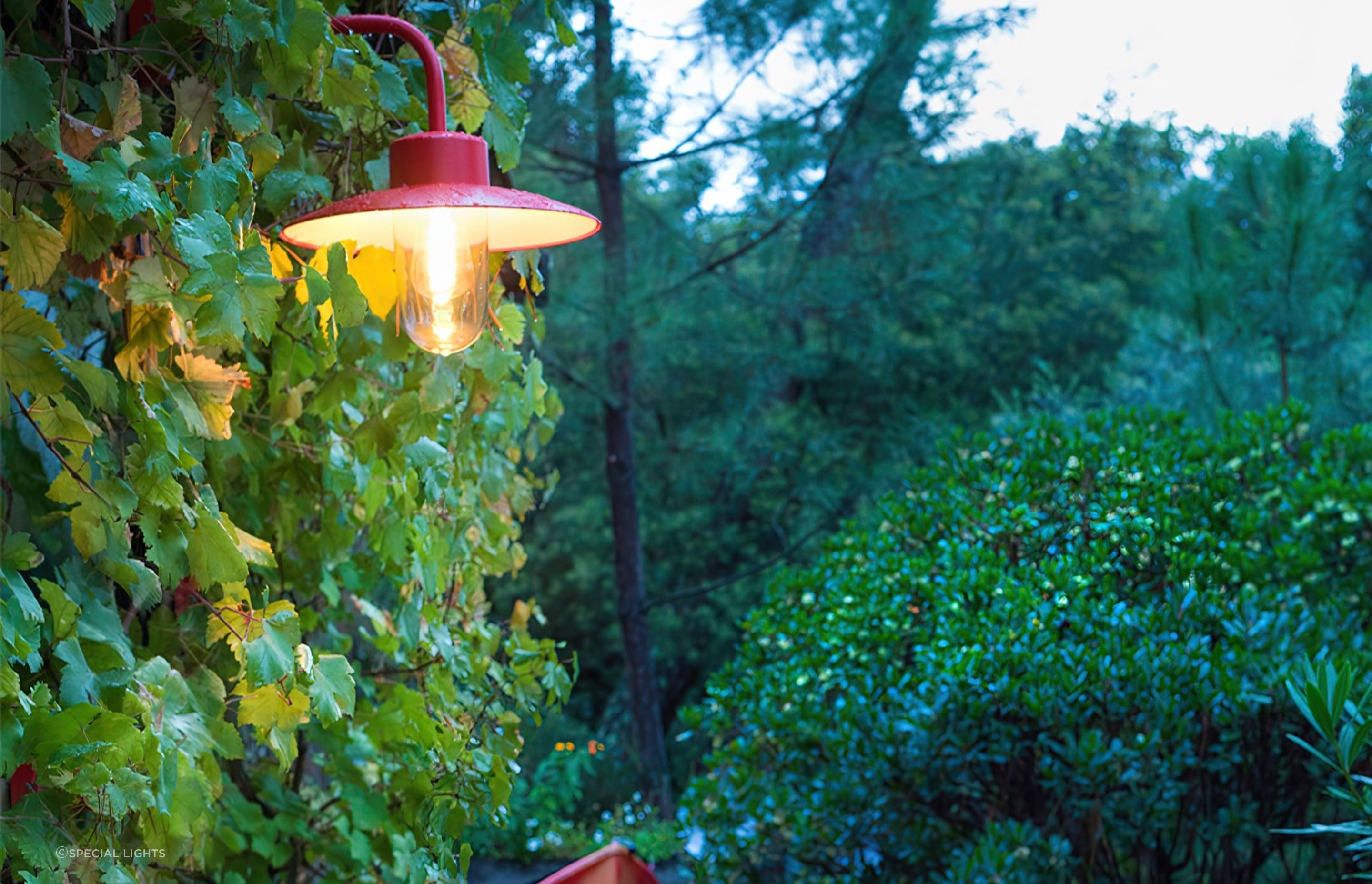 Products like the Belcour Model 9 Wall Light can add a pop of colour and light in any garden