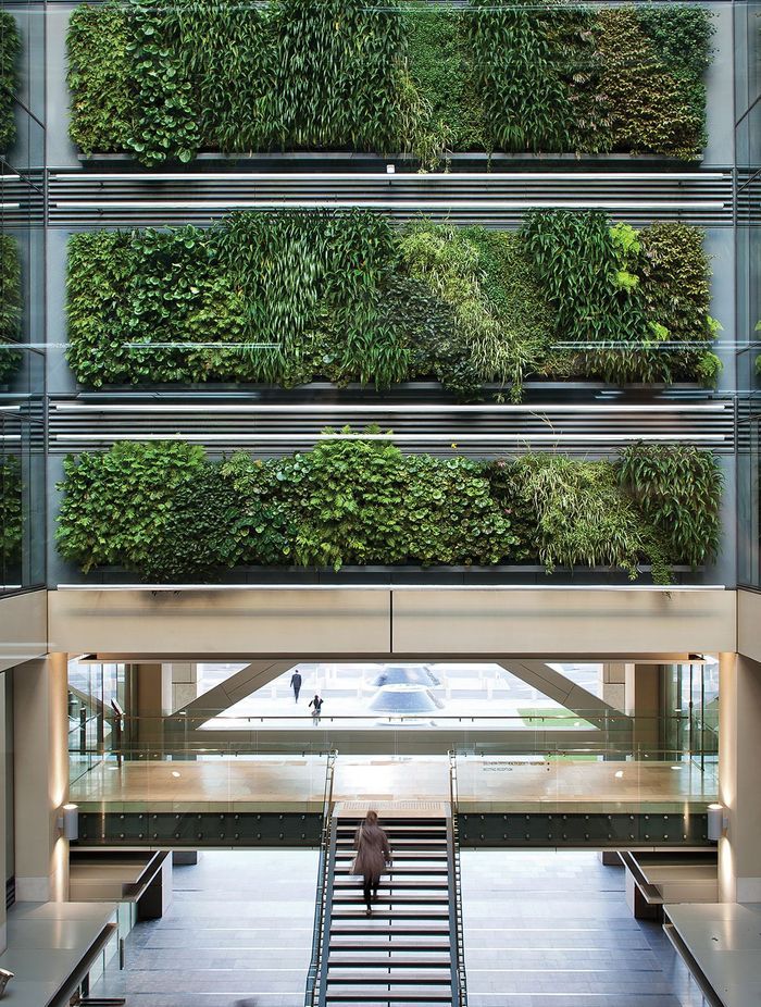 This green wall installation at Auckland's Britomart is composed of 60 individual panels containing a mix of natives and exotic epiphytes.
