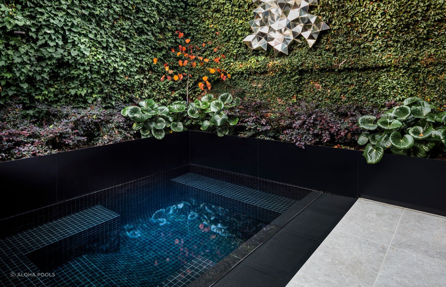 Featured project: Black.