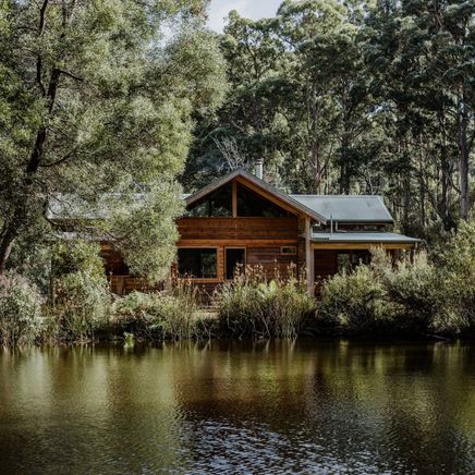 A cottage in the woods built in response to land and climate