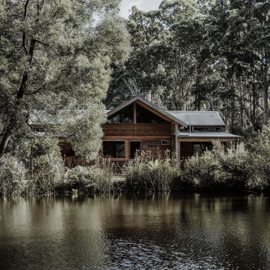 A cottage in the woods built in response to land and climate