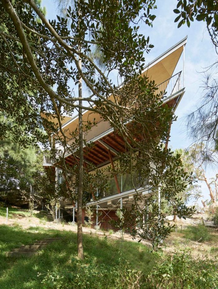 The elevated angled balcony opens to the north and the tree canopy