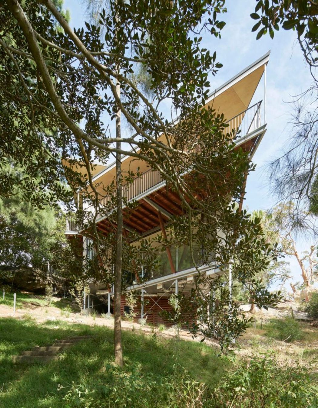 The elevated angled balcony opens to the north and the tree canopy