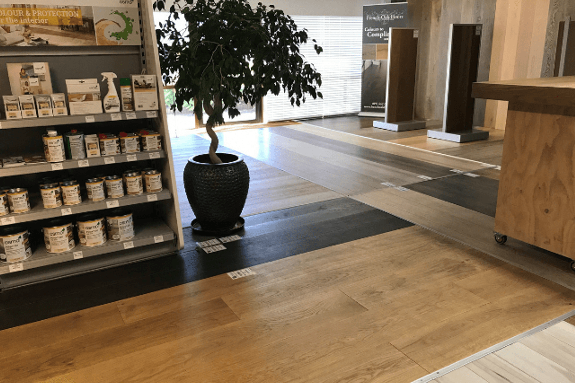 Showroom Design Studio