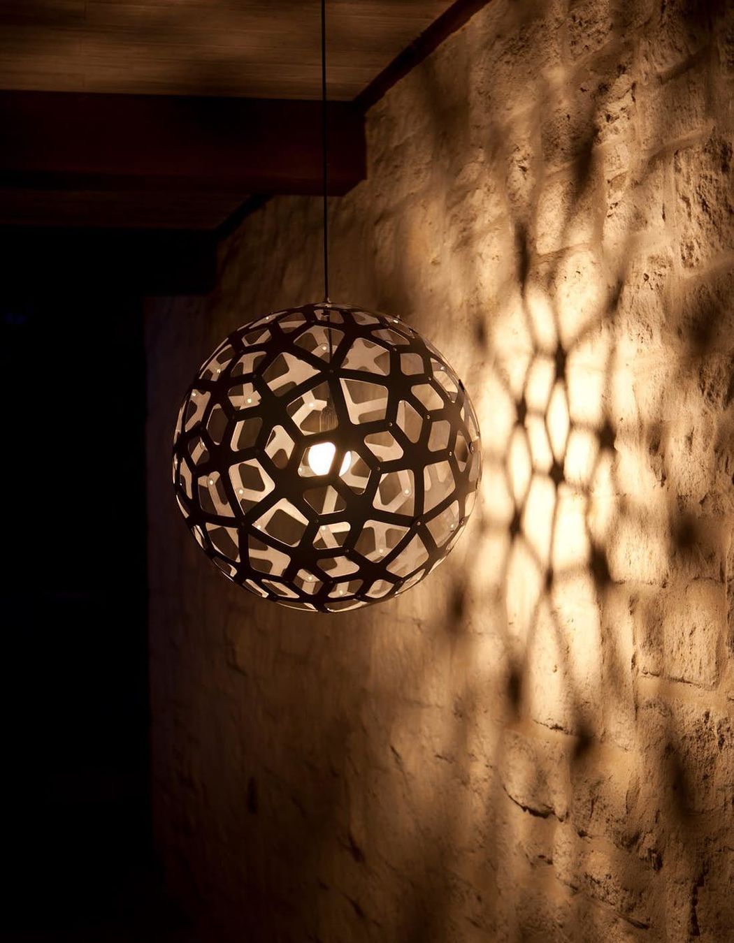 Coral Pendant Light by David Trubridge
