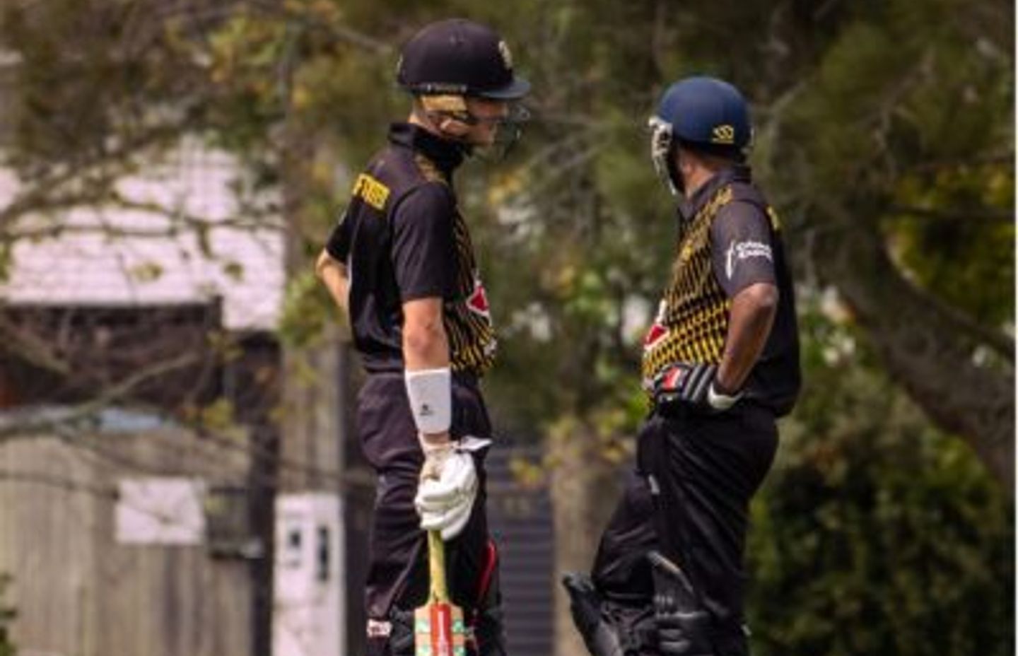 Cricket: Maintaining Your Artificial Cricket Turf