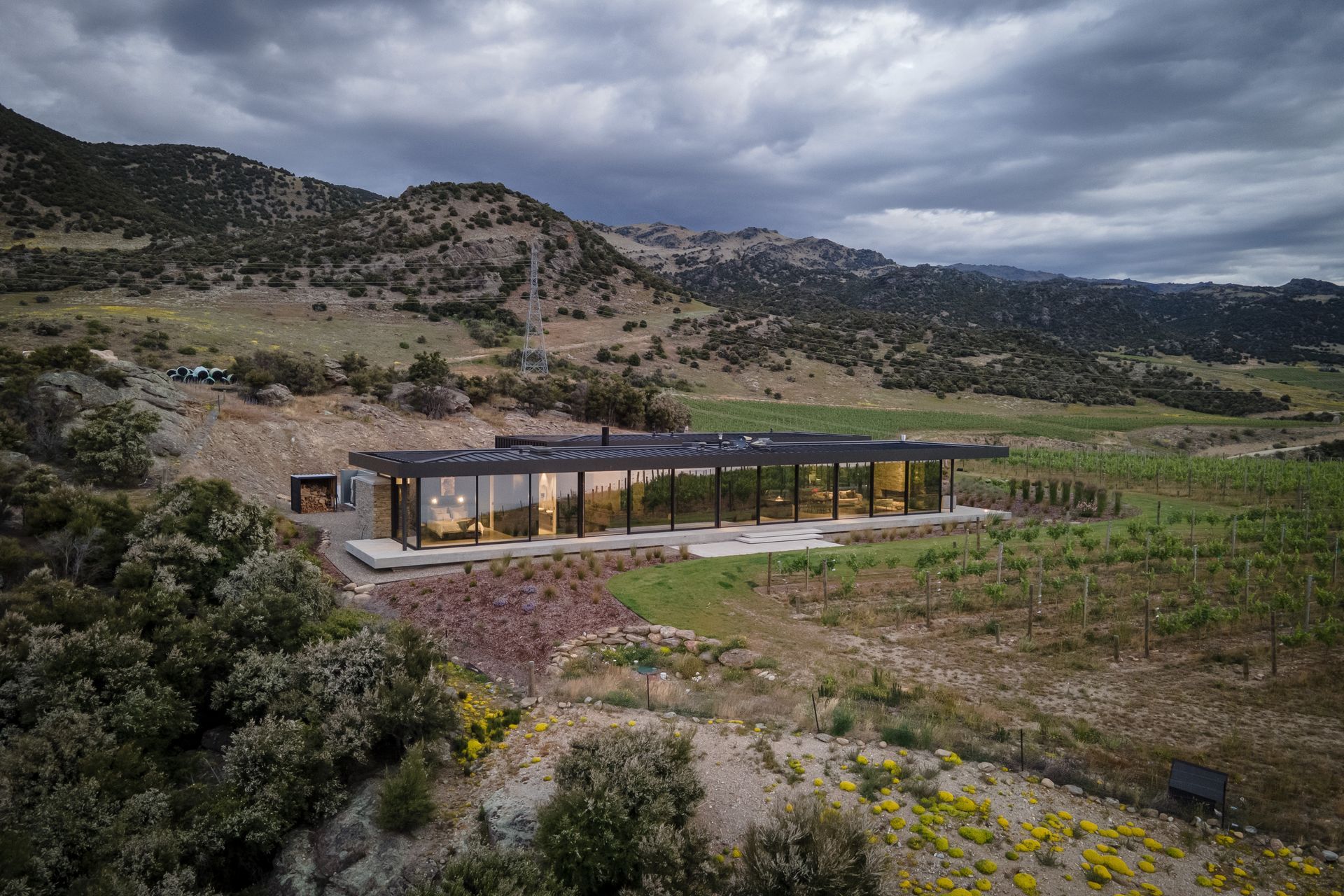 The fully-glazed western face of Bendigo Terrace House. | Photographer: Simon Larkin