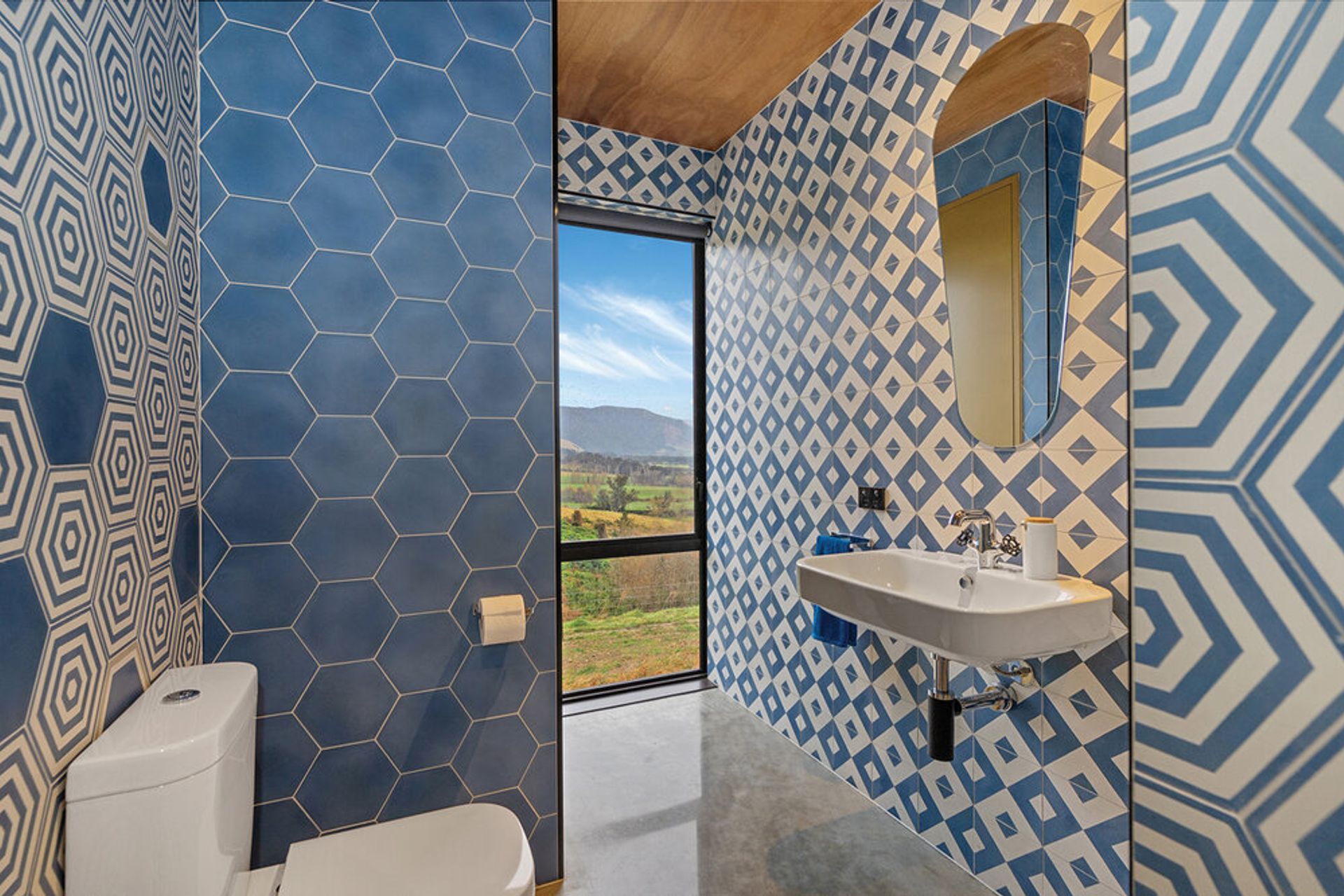 Where the kōwhai blooms