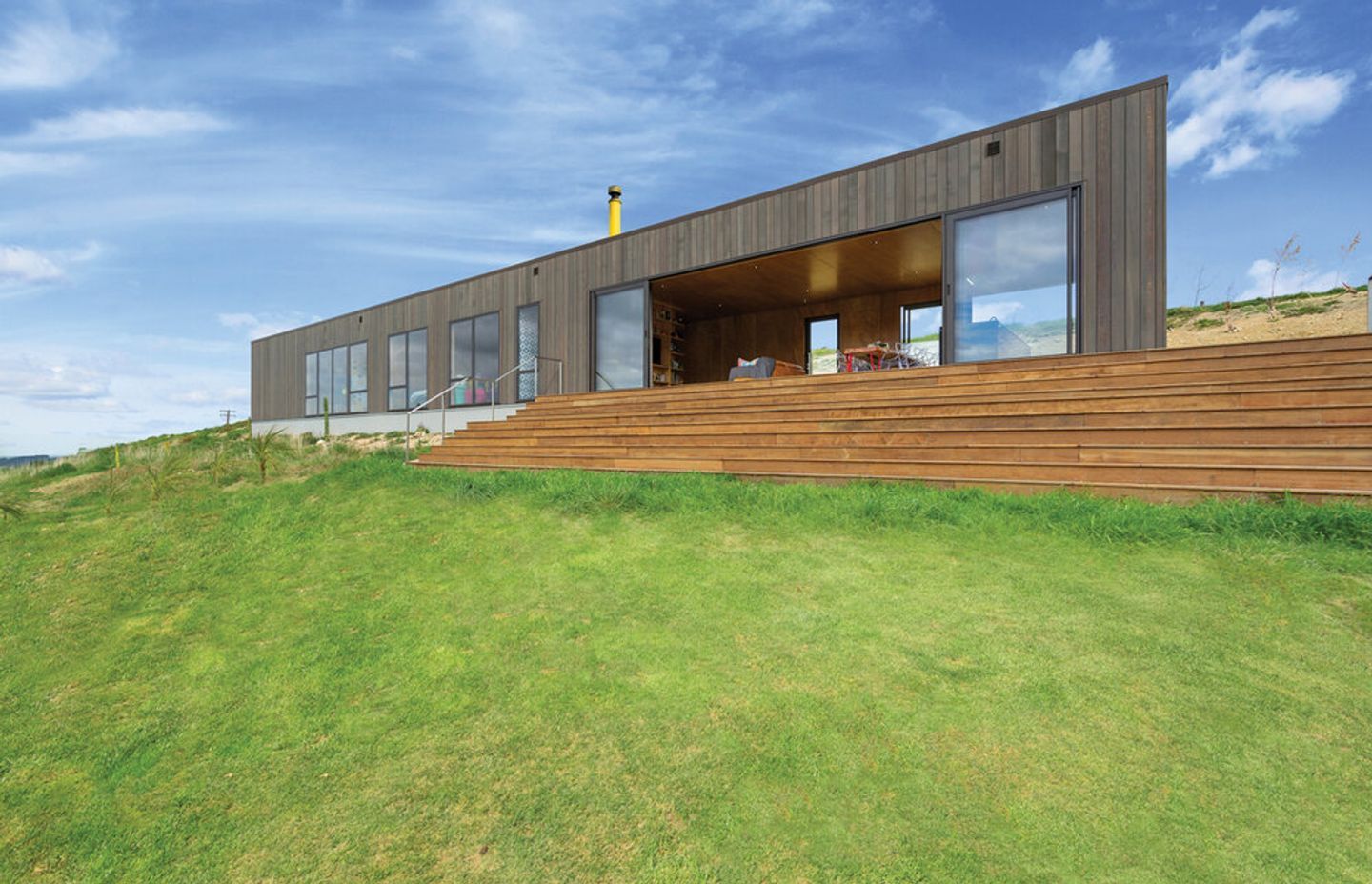 Where the kōwhai blooms