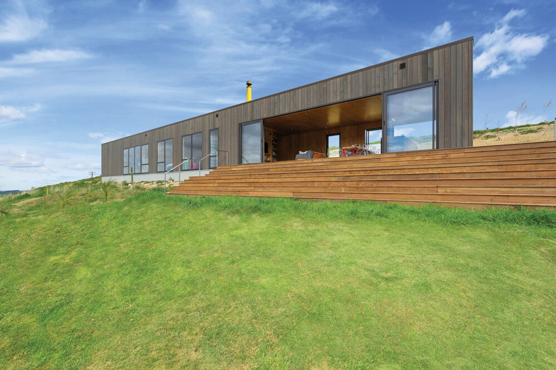 Where the kōwhai blooms