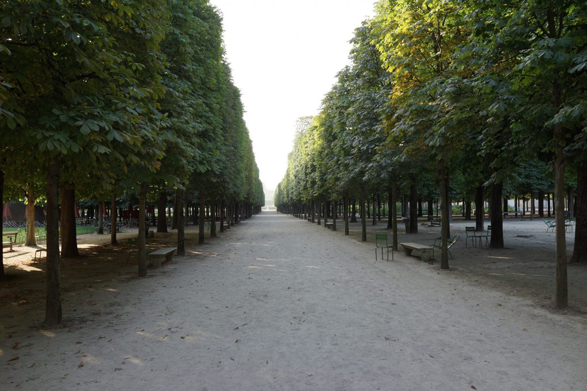 Pleached Vistas last the Tuileries