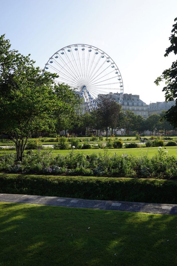The Tuileries Paris