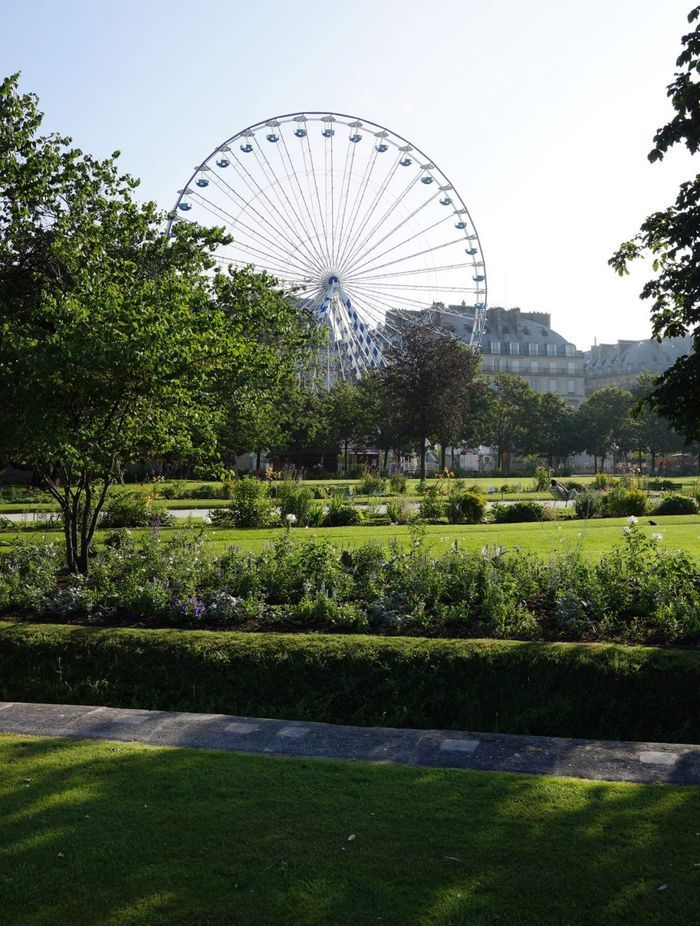 The Tuileries Paris