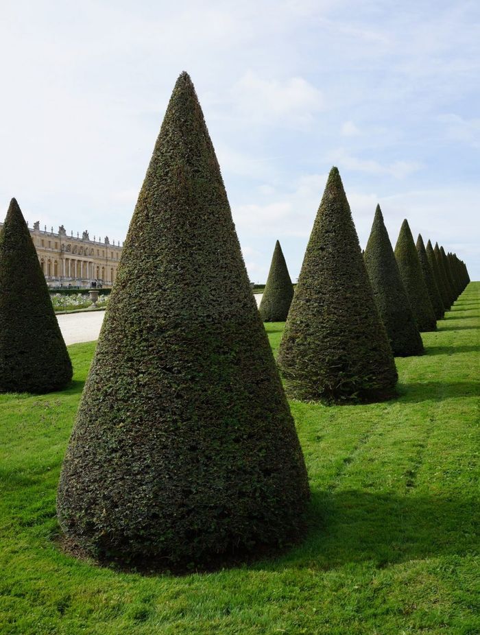 The clipped cones of Versailles