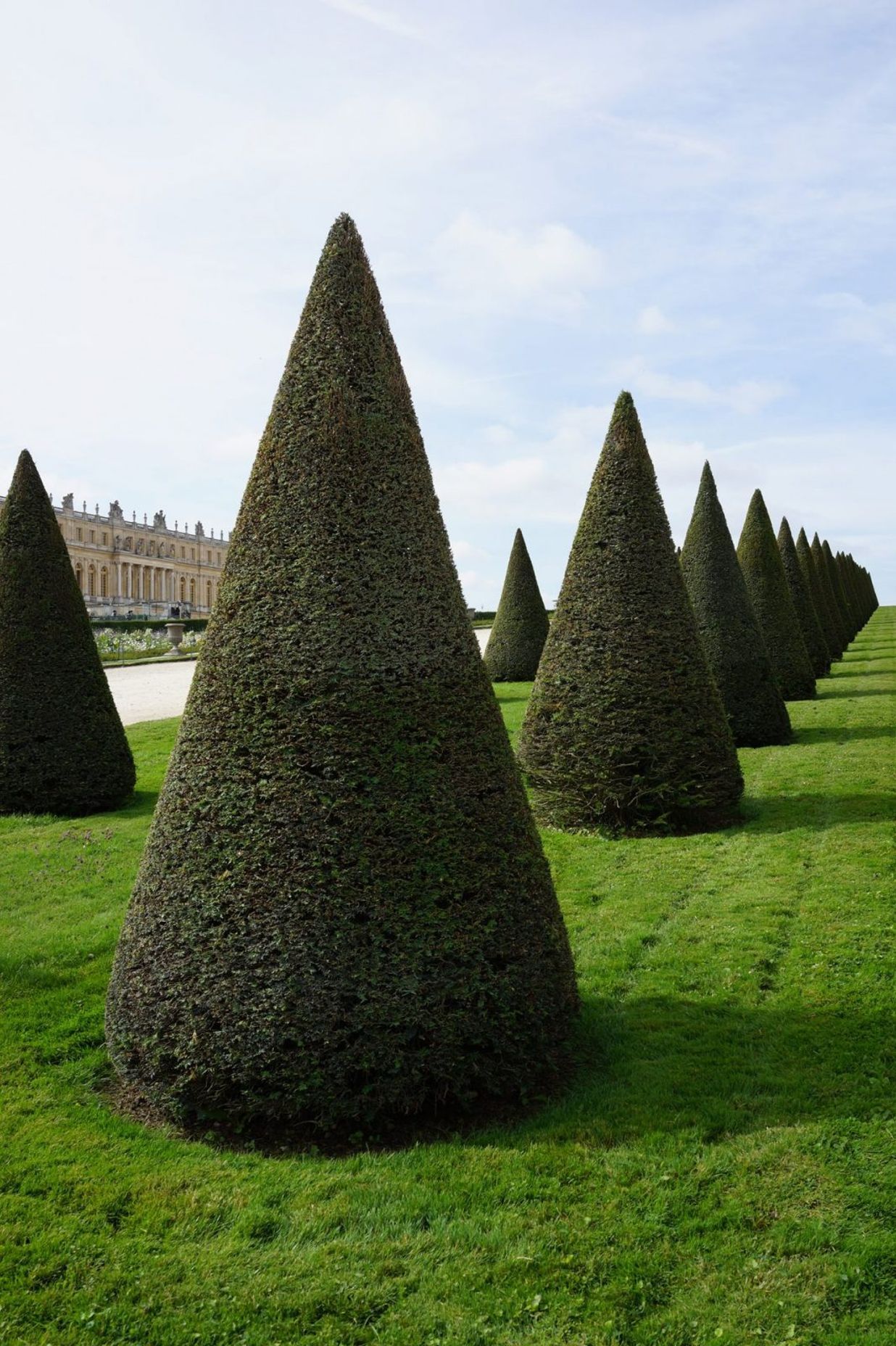 The clipped cones of Versailles