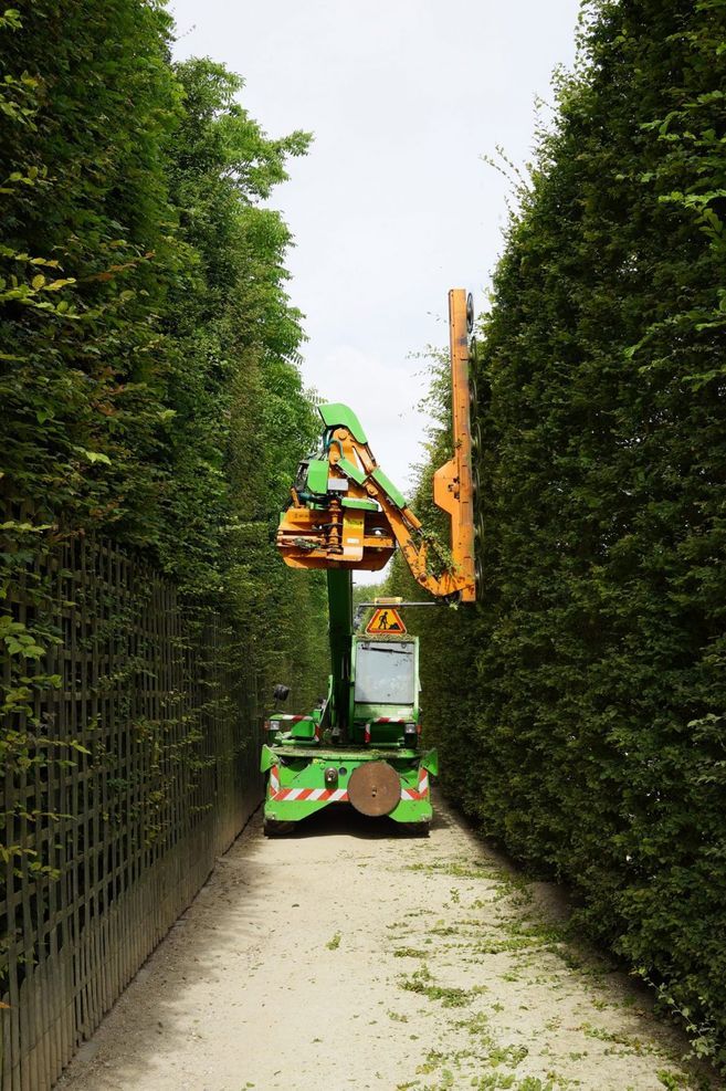 Hedging Versiaillis