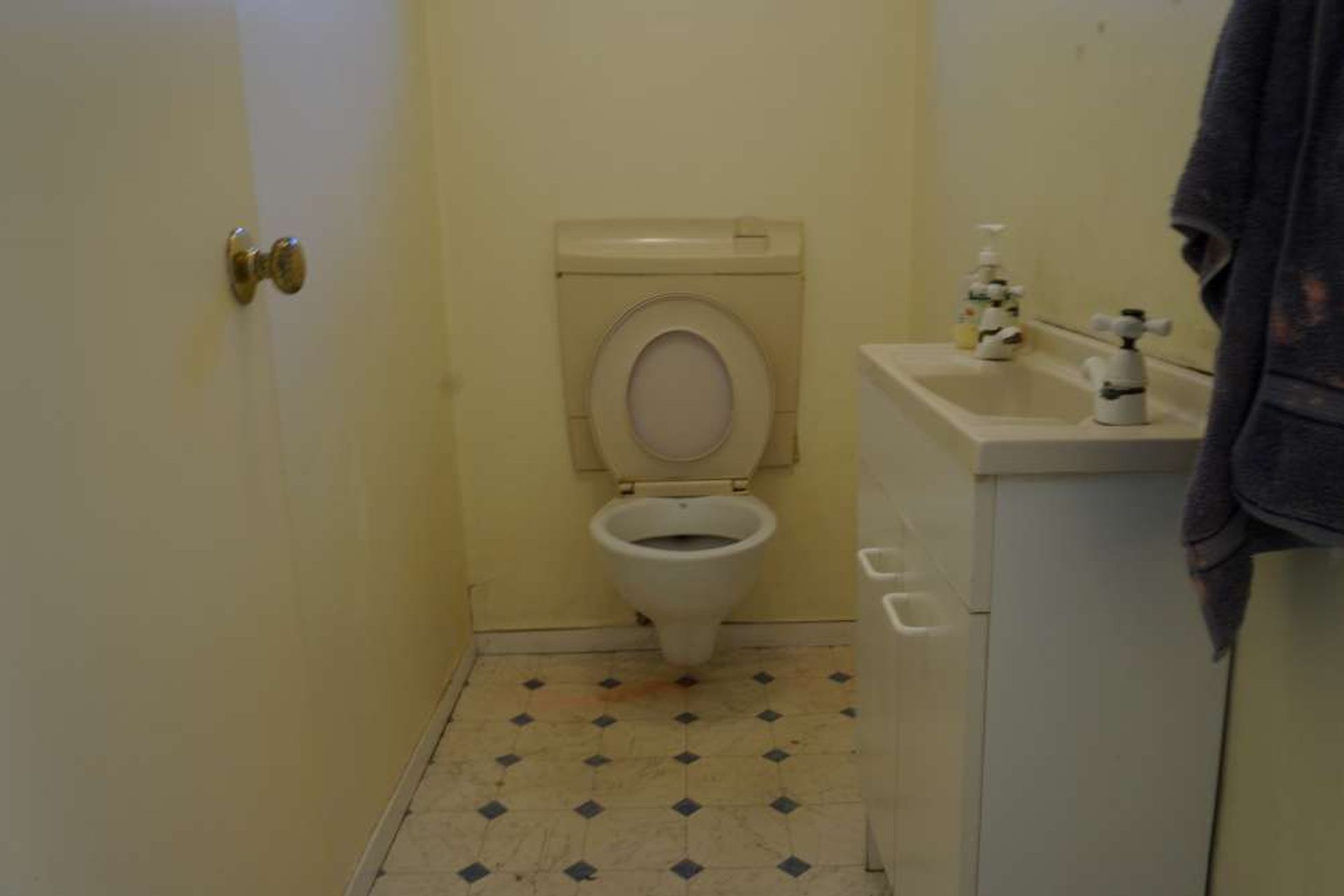 BEFORE we renovated the toilet